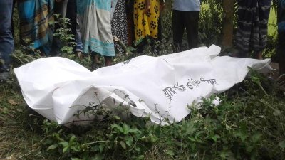ফাইল ছবি