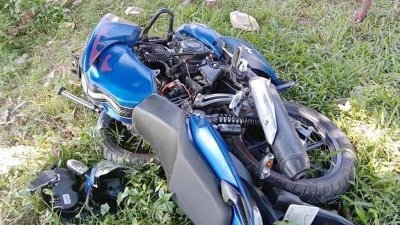 টাঙ্গাইলের ঘাটাইলে গাছের সঙ্গে মোটরসাইকেলের ধাক্কায় নিহত ৩