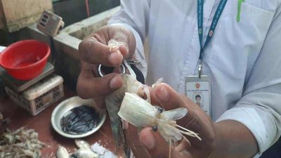 জেলি দেওয়া চিংড়ি