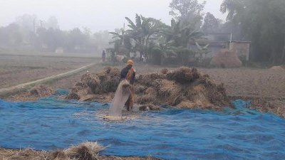 তীব্র শীত উপেক্ষা করে মাঠে কাজ করছে শ্রমিকরা