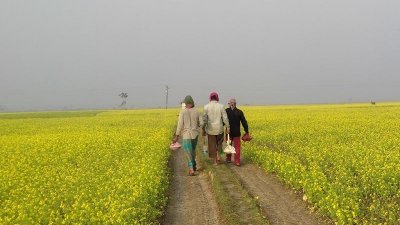 শীত উপেক্ষা করে ক্ষেতে কাজ করছেন কৃষকরা