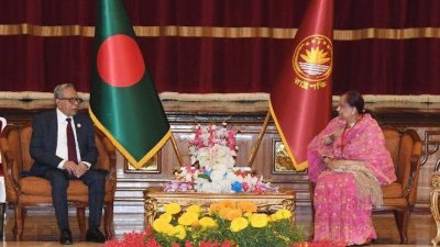 রাষ্ট্রপতির সঙ্গে ন্যাপের সংলাপ
