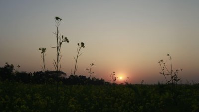 বছরের শেষ সূর্যাস্ত (ছবি: সাজ্জাদ হোসেন)