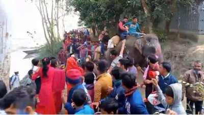 ইব্রাহিম হোসেন মৃধার বিজয় মিছিল