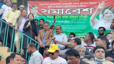 ব্রাহ্মণবাড়িয়ায় বিএনপির সমাবেশে রুমিন ফারহানা
