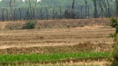 হাপানিয়া সীমান্ত (ফাইল ছবি)