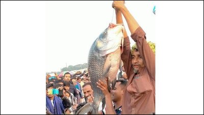 বিনিরাইল গ্রামে প্রতি বছর পৌষের শেষ দিন বসে ঐতিহ্যবাহী মাছের মেলা
