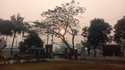 শীতের সকাল