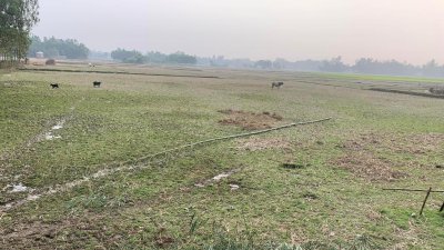 সেচ সুবিধা না থাকায় প্রায় এক হাজার একর জমিতে বোরো আবাদ হচ্ছে না