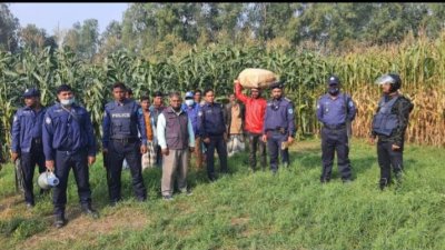 নির্বাচনের ৪১ দিন পর ভুট্টাক্ষেত থেকে বস্তাভর্তি ব্যালট উদ্ধার