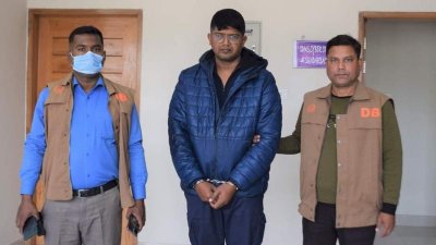 গ্রেফতার পারভেজ আল মামুন