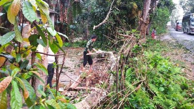 কুড়িগ্রামে কালবৈশাখী ও শিলা বৃষ্টির আঘাত