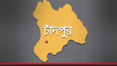 পিকআপ চাপায় প্রাণ গেলো বাবা-ছেলের