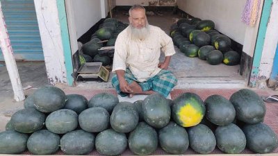 হিলির বাজারে উঠেছে আগাম জাতের তরমুজ