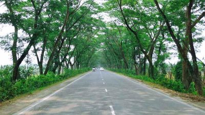 কুষ্টিয়া-ঝিনাইদহ মহাসড়ক (ছবি: ফেসবুক থেকে সংগৃহীত)
