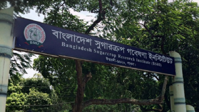 সুগারক্রপ গবেষণা ইনস্টিটিউটে ১৫ পদে চাকরি, লাগবে না অভিজ্ঞতা