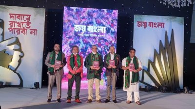 ‘রাজাকার-আলবদররা ছাড়া সবাই মুক্তিযুদ্ধে সহযোগিতাই করেছেন’