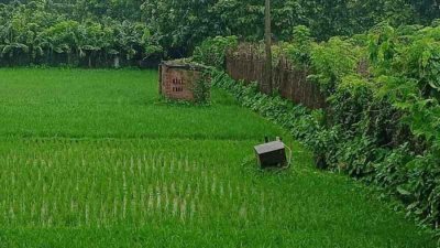 দুই কৃষকের আত্মহত্যা: মন্ত্রণালয়ের তদন্তে উঠে এসেছে অনিয়মের চিত্র  