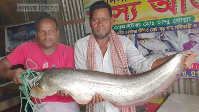 ১৭ হাজার টাকায় বিক্রি হলো এক বোয়াল