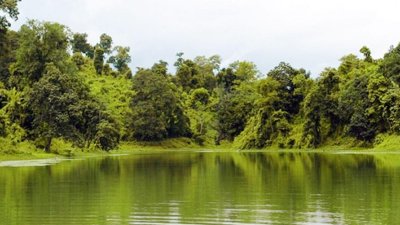 খেলতে বেরিয়ে নিখোঁজ, পুকুরে ভেসে উঠলো লাশ