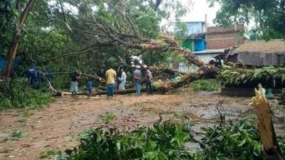 ফটিকছড়িতে ঝড়ে গাছ ভেঙে পড়ে গৃহবধূর মৃত্যু
