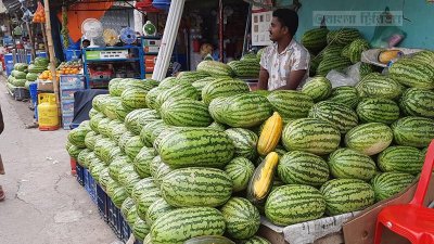 ৪০ টাকার তরমুজ বাজারে ২৫০  