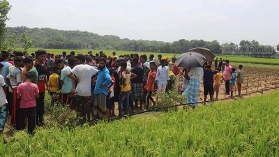 শ্বশুরবাড়ি যাওয়ার পরদিন ধানক্ষেতে মিললো তরুণীর লাশ 