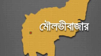 সিঁধ কেটে ঘুমিয়ে থাকা মায়ের কাছ থেকে শিশু চুরি