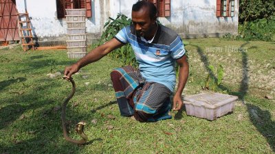 ২২ বছর পর সাপের অবৈধ খামার বন্ধের নির্দেশ