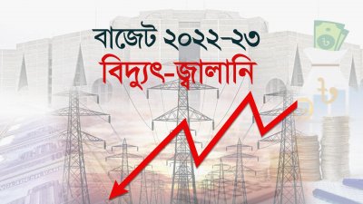 বিদ্যুৎ-জ্বালানিতে বরাদ্দ কমলো দেড় হাজার কোটি টাকা