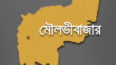 ভারত থেকে অবৈধভাবে দেশে ফেরার সময় আটক ২