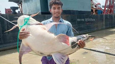 জেলে অসেল হালদারের জালে ধরা পড়ে ৩৪ কেজি ওজনের বাগাড়