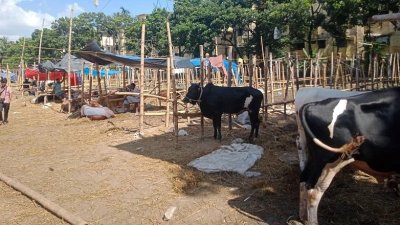 শাহজাহানপুর রেলওয়ে মৈত্রী সংঘের মাঠে পশুর হাট প্রায় ফাঁকা