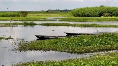বেলাই বিলে নৌকা ডুবে নানি-নাতনির মৃত্যু