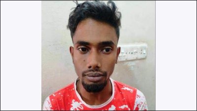 আলী আকবর খান