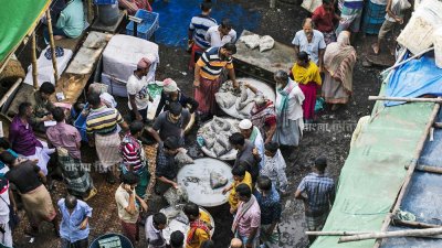 সোয়ারি ঘাটের সকাল (ফটো স্টোরি)