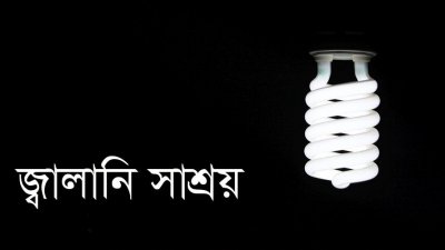 জ্বালানি সাশ্রয় নীতিতে সংকটে পড়বে না দেশ