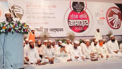 সাশ্রয় নয়, বিদ্যুতের টেকসই উৎপাদন জরুরি: মুফতি ফয়জুল করীম