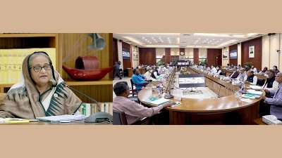 একনেক সভায় ভার্চুয়ালি যুক্ত প্রধানমন্ত্রী শেখ হাসিনা (ছবি: পিআইডি)