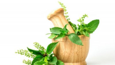চুল পড়া রোধে যেভাবে ব্যবহার করবেন তুলসী পাতা