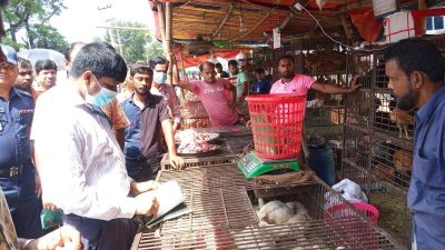 মুরগির দোকানে অভিযান