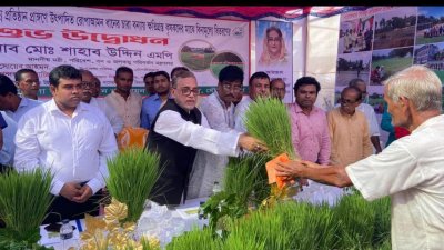 চাষের জমির সর্বোচ্চ ব্যবহার করতে হবে: শাহাব উদ্দিন