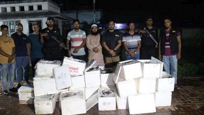 জেলি পুশ করা চিংড়ি মাছ ও আটক ব্যবসায়ী