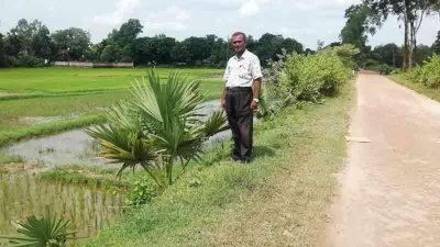 রোপণের পর থেকে ছুটির দিনে গাছের পরিচর্যা করেন জাফর উদ্দিন মো. কমরু