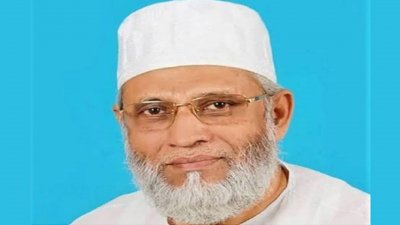 আ ন ম শামসুল ইসলাম