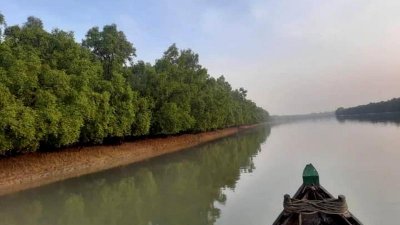 ৭৫ পর্যটক নিয়ে সুন্দরবনে যাত্রা করলো ‘দ্যা ওয়েব’
