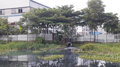 কারখানার বর্জ্য ও দূষিত পানিতে কৃষিজমির ফসল নষ্ট হচ্ছে