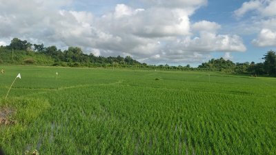 বাংলাদেশ-মিয়ানমার সীমান্ত এলাকা