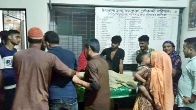 ঘাস কাটাকে কেন্দ্র করে নারীকে হত্যার অভিযোগ