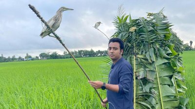 চলনবিলে বক নিধন, পরিবেশকর্মীরা ধ্বংস করলেন ৭ ‘কিল্লা’
